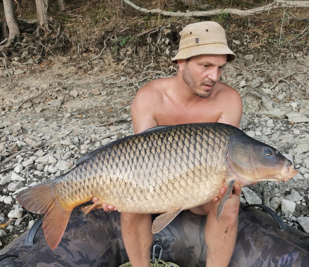 Carousel Poissons du lac