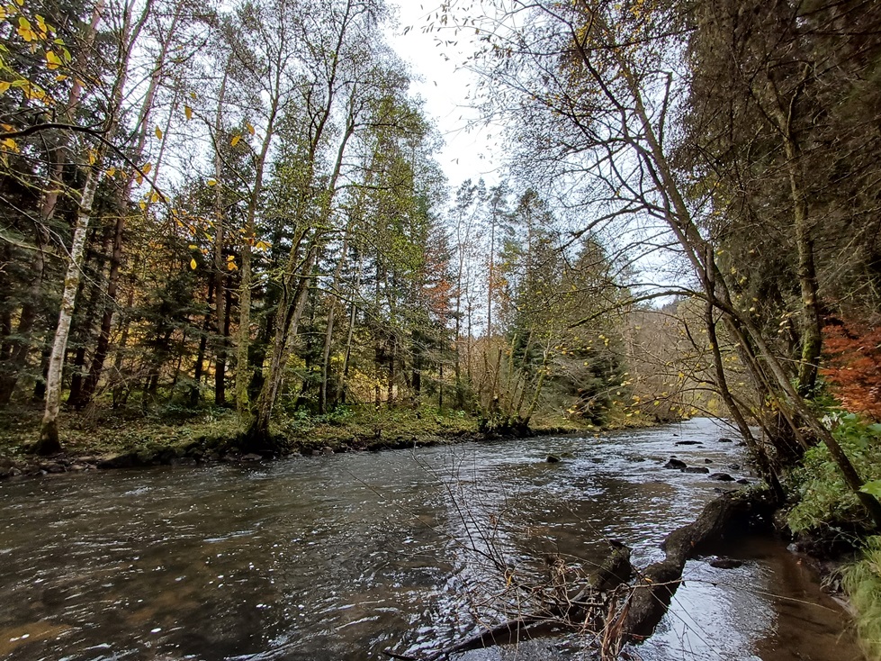 Pêche ruisseau Coli